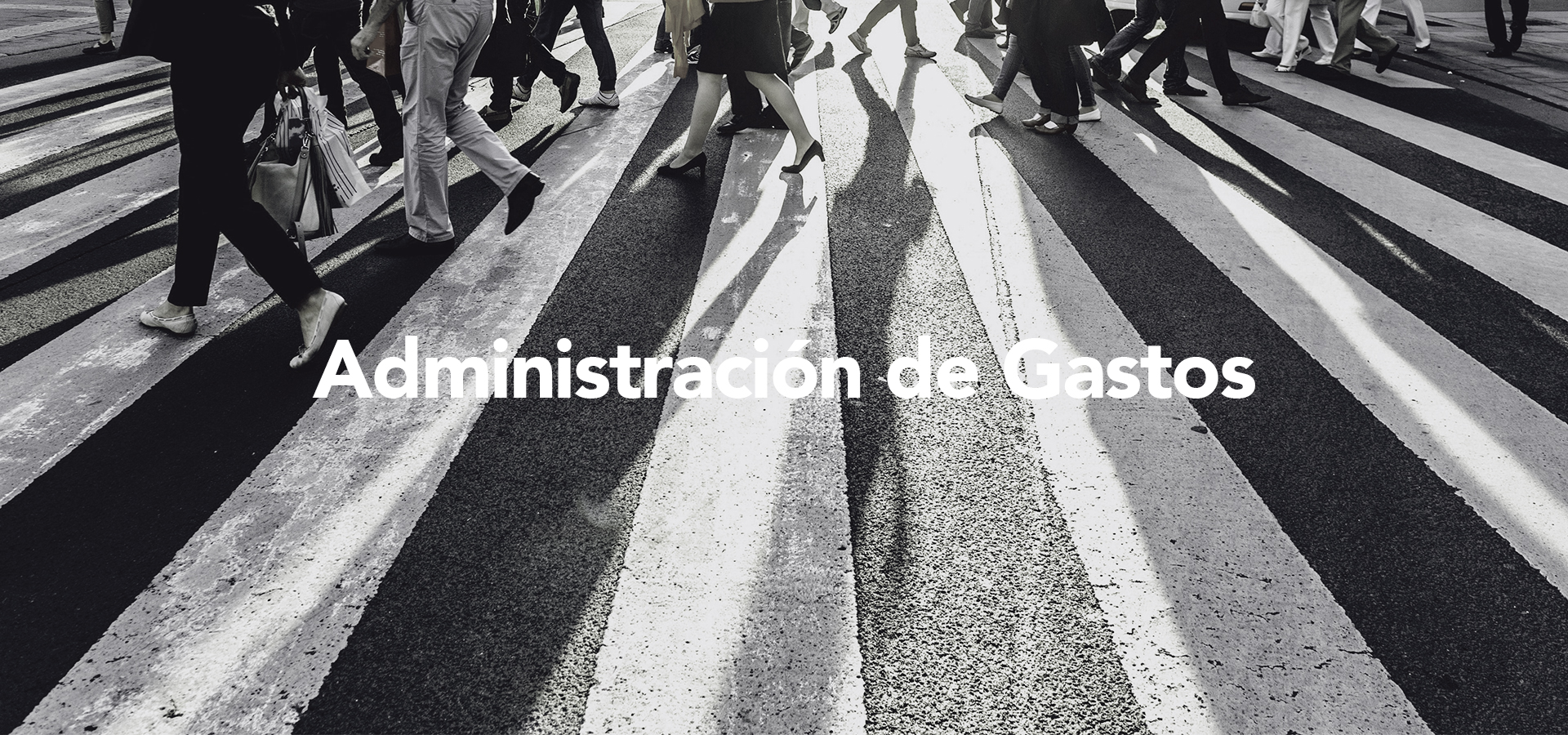 Saint John Consulting Administracion de Gastos