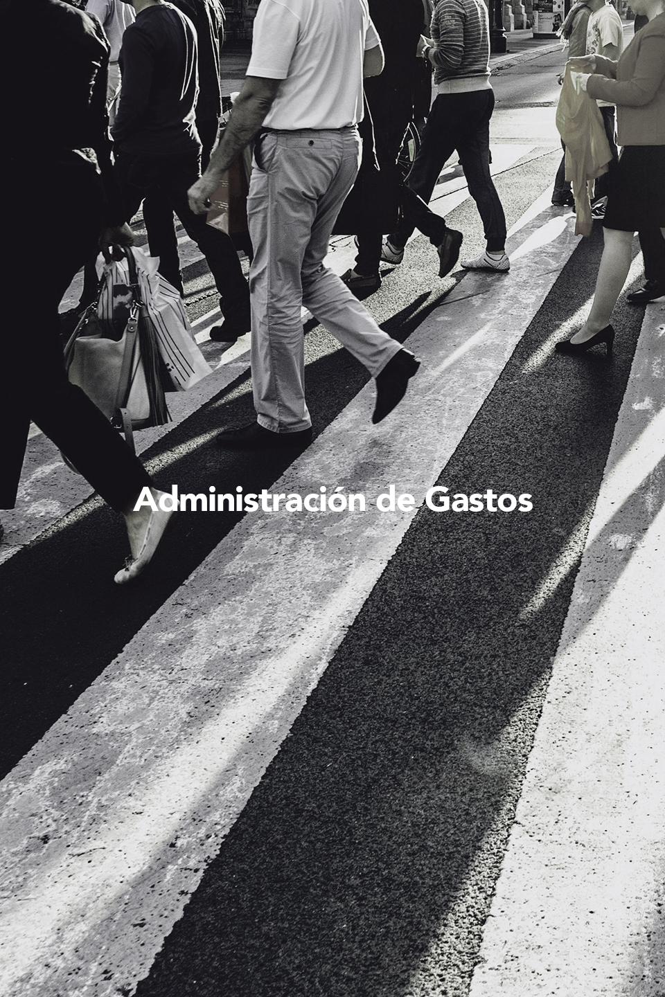 Saint John Consulting Administracion de Gastos